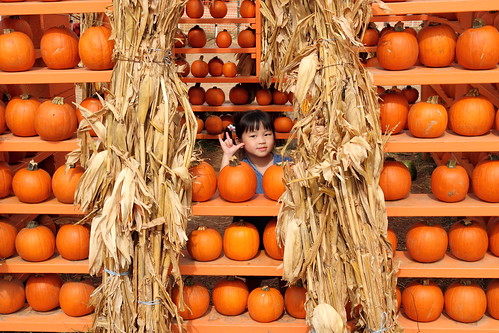 Pumpkin Patch 2010