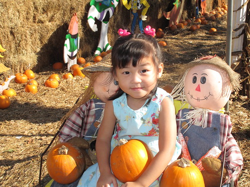 Pumpkin Patch 2009