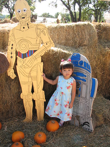 Pumpkin Patch 2009