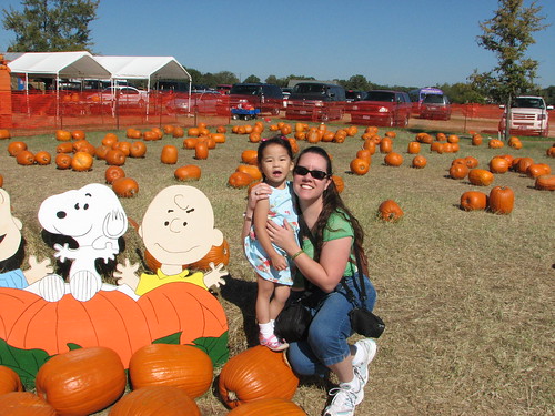 Pumpkin Patch 2009