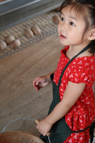 12 months of Nadia - 3