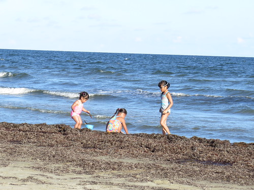 Day 4&5 at the beach (2014)