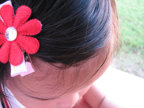 Hair clip
