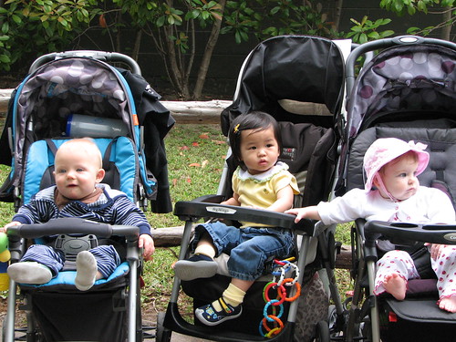 Elliott, Nadia, Clarity