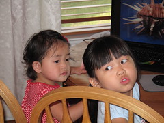 Sunny Seashells 2011