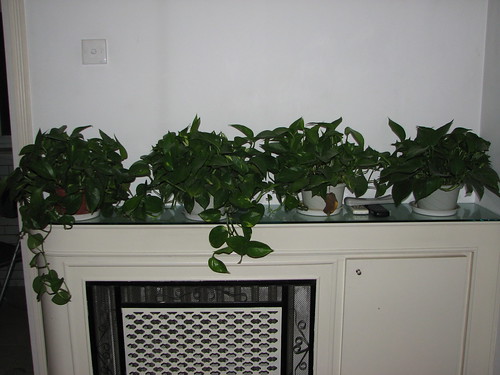 China 2008: March 16th