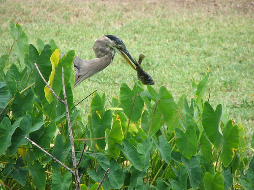 Michelle's Visit - Part 2