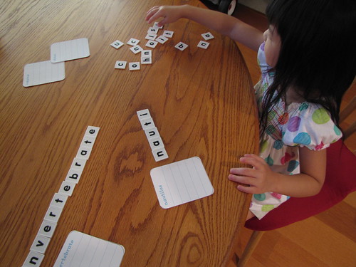 Sunny Seashells 2011