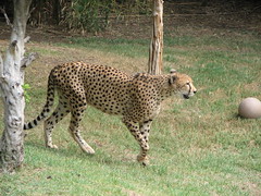 Michelle's Visit - Part 2