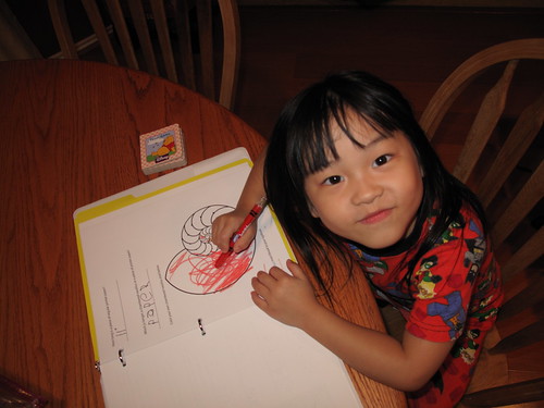 Sunny Seashells 2011