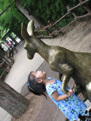 Zoo - May 6, 2009