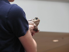 Kids Club April 2009