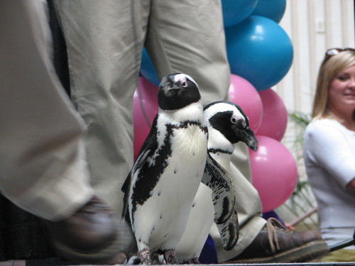 Kids Club April 2009