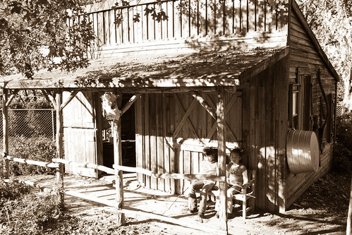 Pumpkin Village 2013