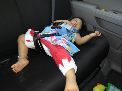 Dani sad and confused in the car harness.