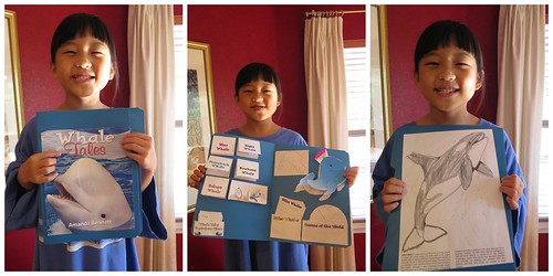 The finished lapbook