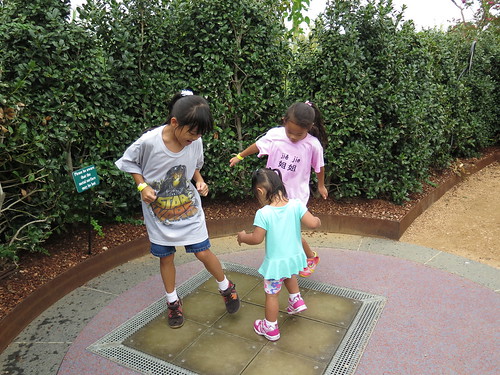 Childrens Garden 9.15.2014