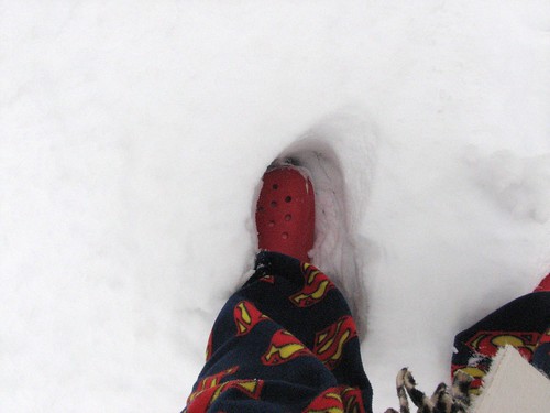 Project 52 - Week 7 & 8