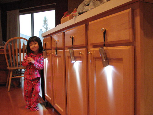 Package of Flashlights