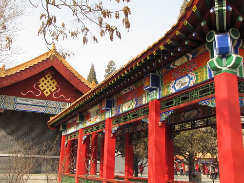 China Day 7 - 2/16/2011