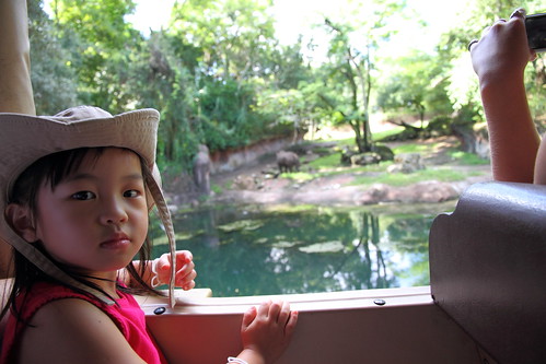 WDW Day 3 - 7.27.2010