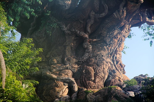 WDW Day 3 - 7.27.2010