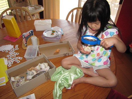 Sunny Seashells 2011