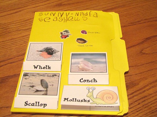 Sunny Seashells 2011