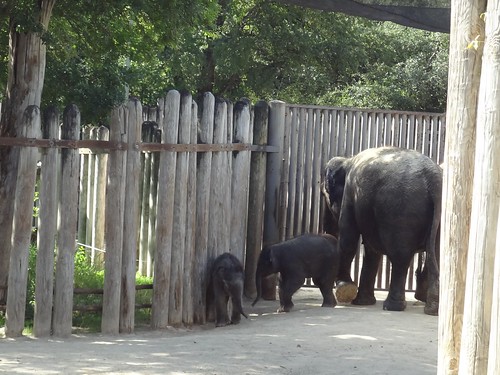 Fort Worth Field Trips