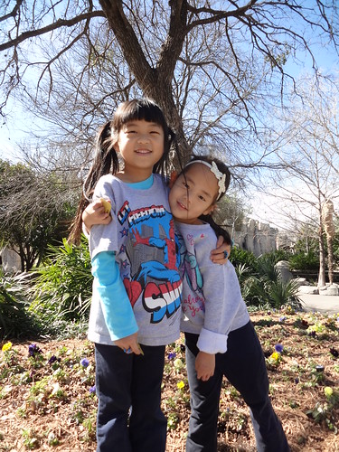 Amelie's 3rd Gotcha Day