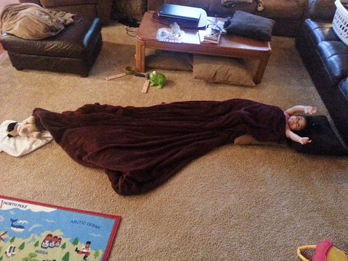 Dani's setup with her stuffed dog.