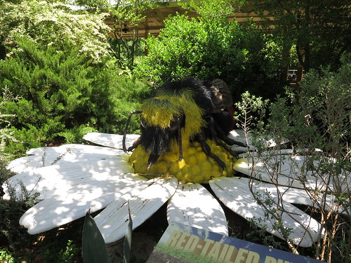 Red-Tailed Bumble Bee