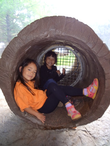 Fort Worth Zoo - May 14, 2014