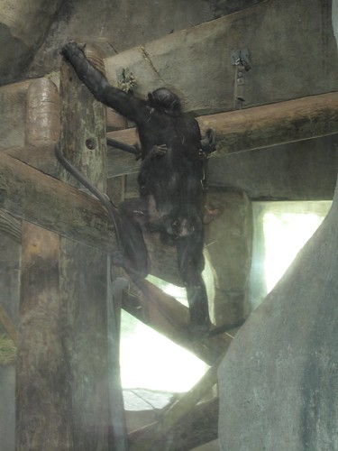 Homeschool day at the zoo