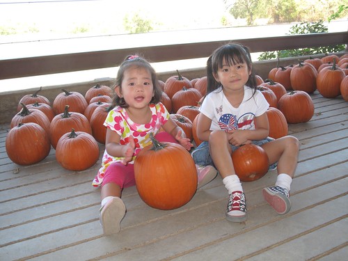 Pumpkin Patch 2011