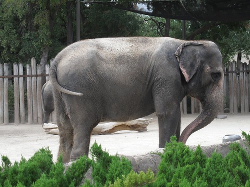 Homeschool day at the zoo