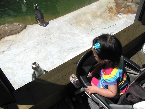 Amelie's First trip to the zoo