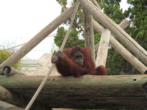 Homeschool day at the zoo