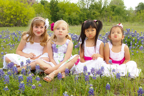 Bluebonnets March 2012