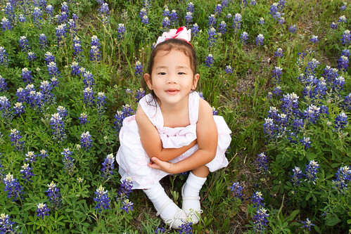 Bluebonnets March 2012