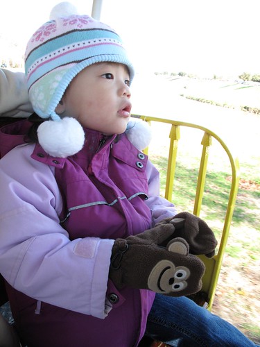 Forest Park Mini Train