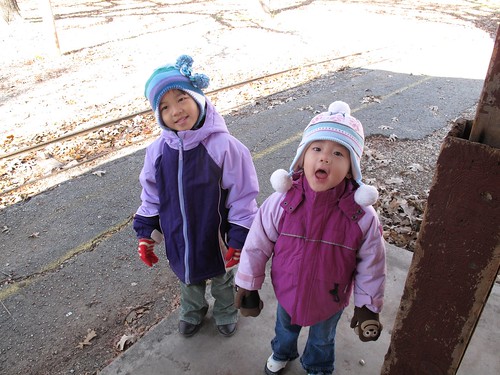 Forest Park Mini Train