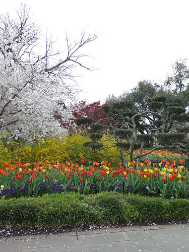 Dallas Blooms 2014