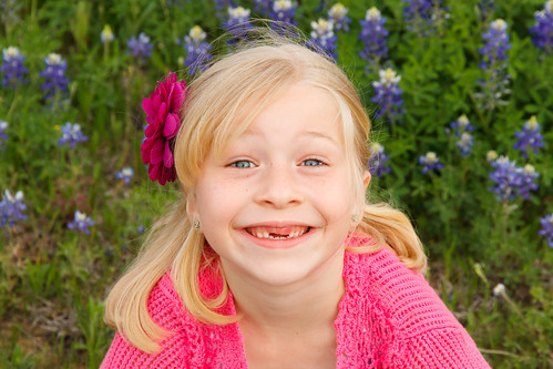 Bluebonnets March 2012