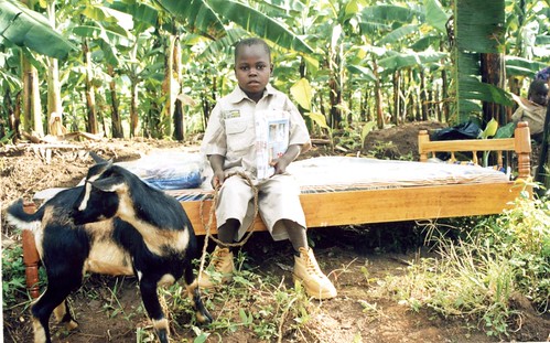 Muzzeei 2006 photo 02