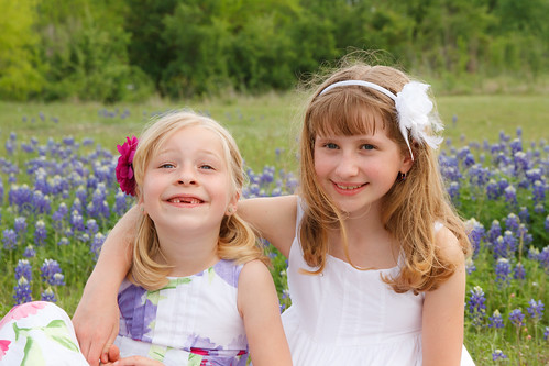 Bluebonnets March 2012