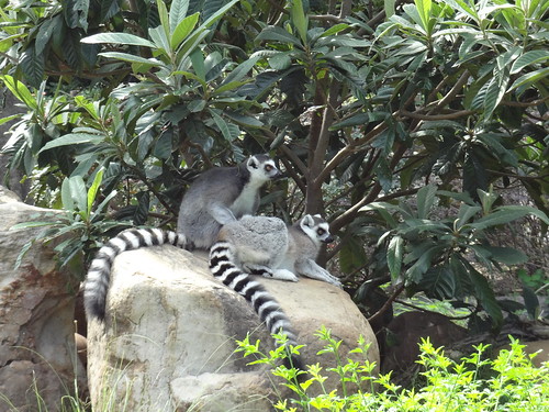 Fort Worth Field Trips