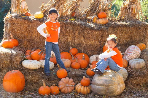 Pumpkin Village 2013