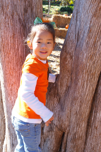 Pumpkin Village 2013