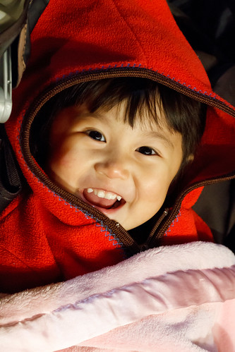 12 Days of Christmas 2014